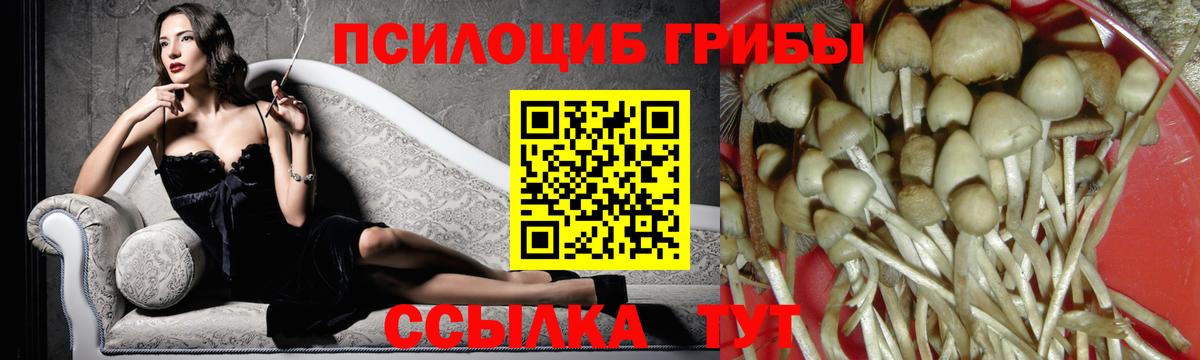 Галлюциногенные грибы Cubensis  Галлюциногенные грибы Cubensis  Вход с VPN  Чехов 